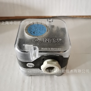 Dungs LGW50A4 differential pressure switch