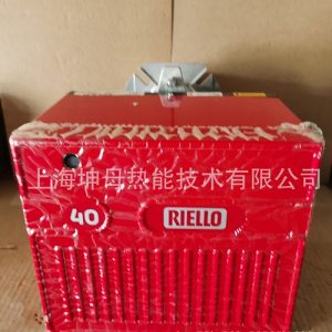 RIELLO 40 FS10 one-stage home heating boiler gas burner